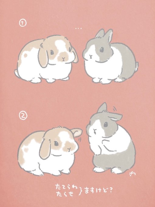 🐰対抗心🐰 