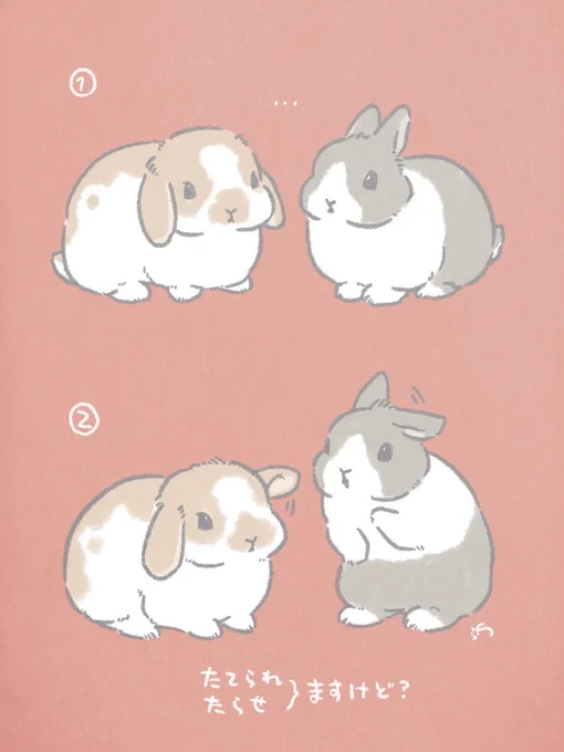 🐰対抗心🐰 