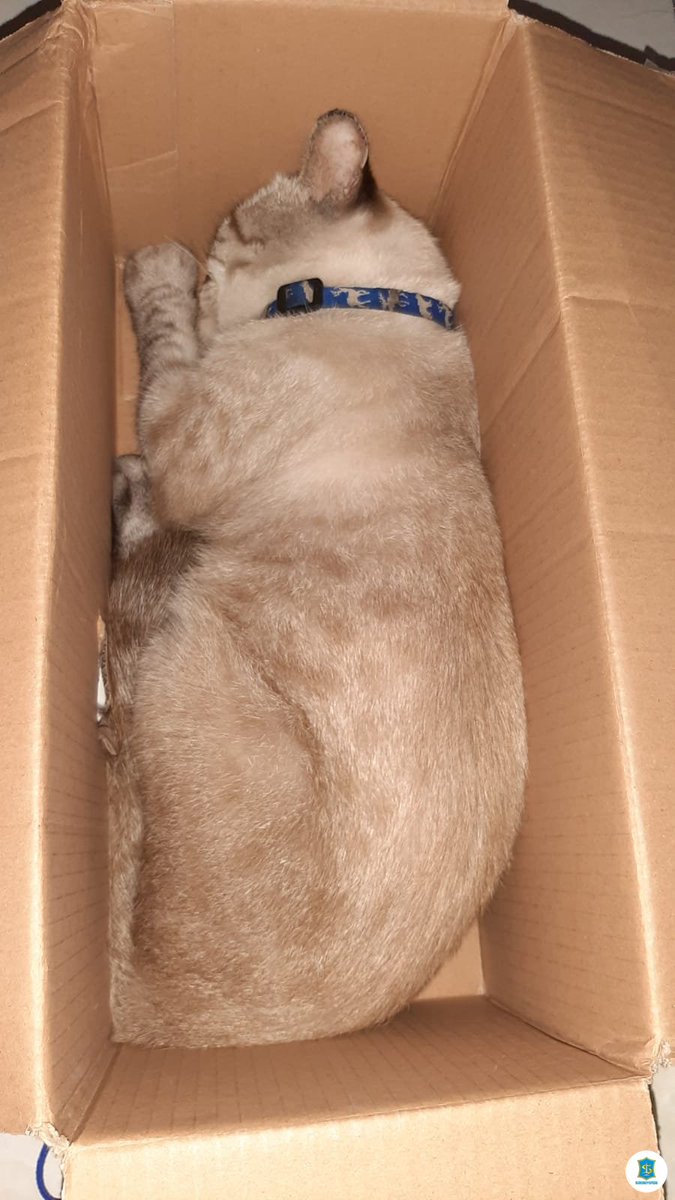 paket e -rek wes siap👍👍