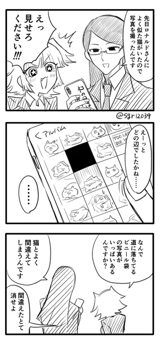 ねこですよろしくおねがいします 