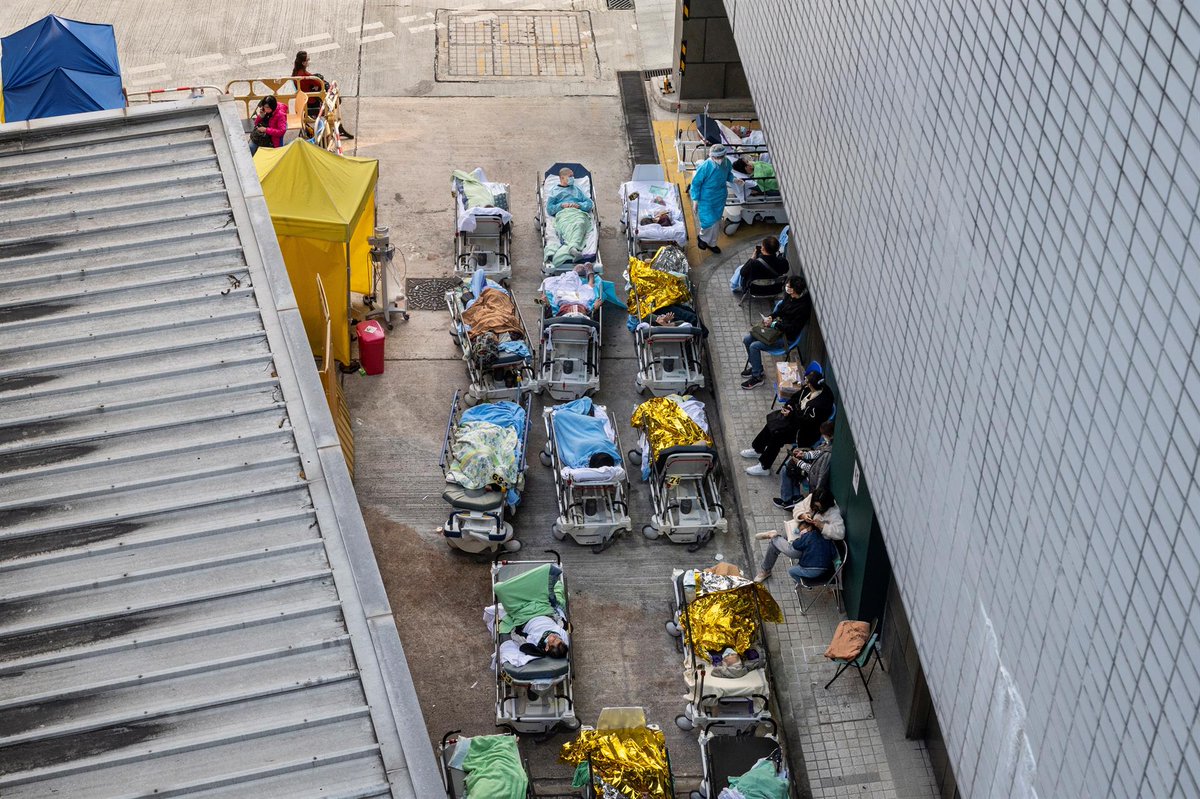 3CatInfo tweet media