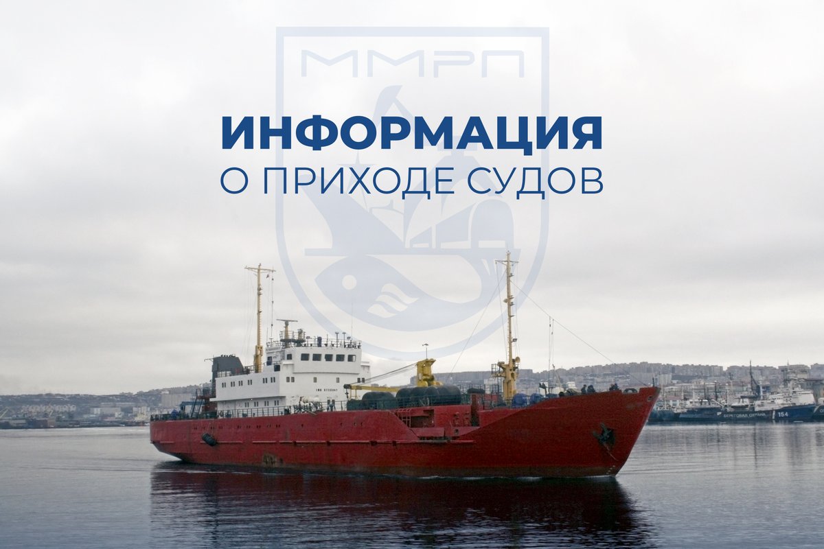 FishPort51's tweet image. ⛴ График прихода судов на 19-21 февраля:
19 февраля: Транспорт «Silver Crystal»
20 февраля: Транспорт «Holmfoss»
21 февраля: Транспорт «Канопус»
Под обработкой: Траулер «Тезей»
-
#info #Мурманск #порт
