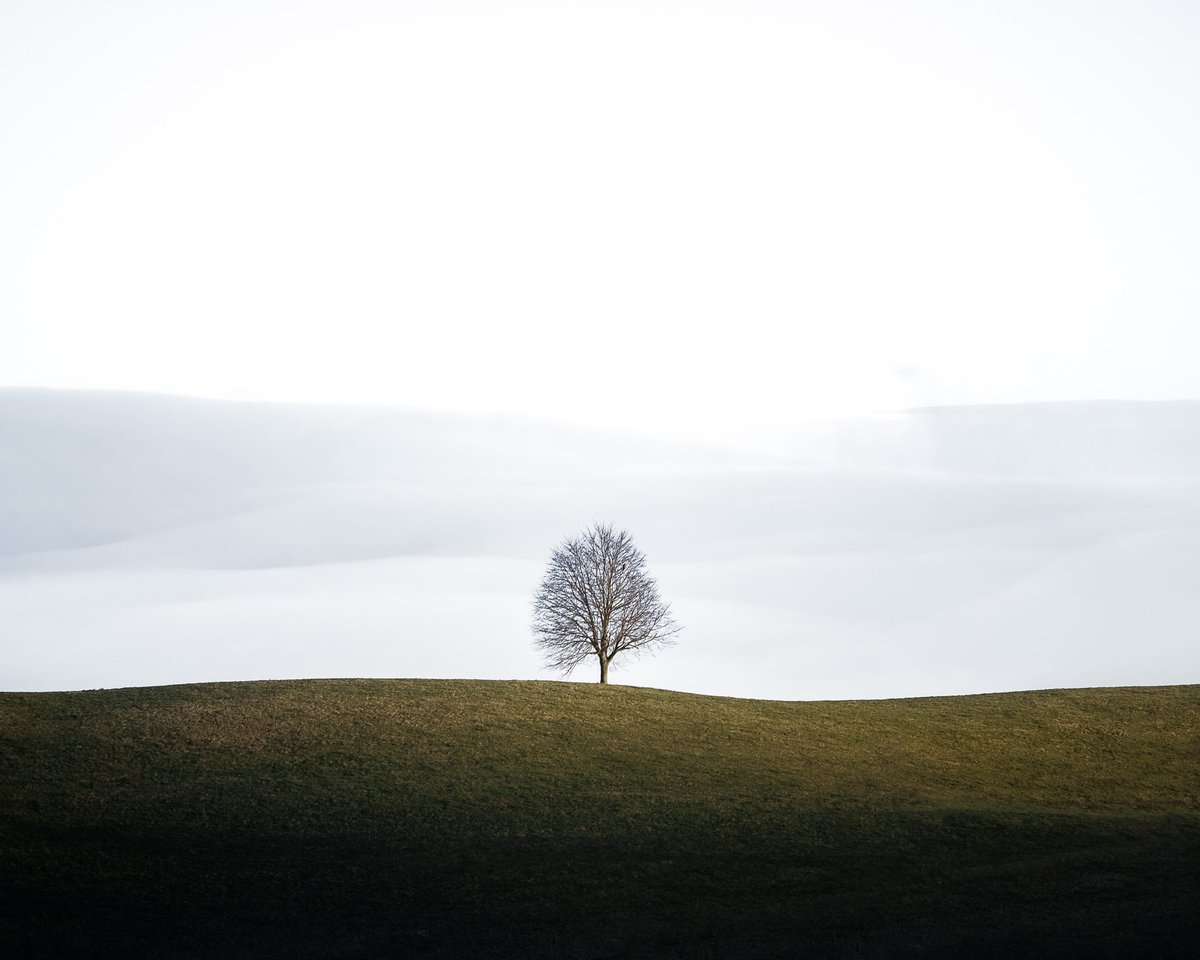 Photographers! Show us your minimalist photos!
One photo.
No links.
Retweet and like for your fellow artists.
Give us a follow if you aren't already!
We'll retweet our favorites!
To start, here's a photo by <a href="/chrisburth_/">ChrisBurth | Photography</a> of a minimalist lone tree.