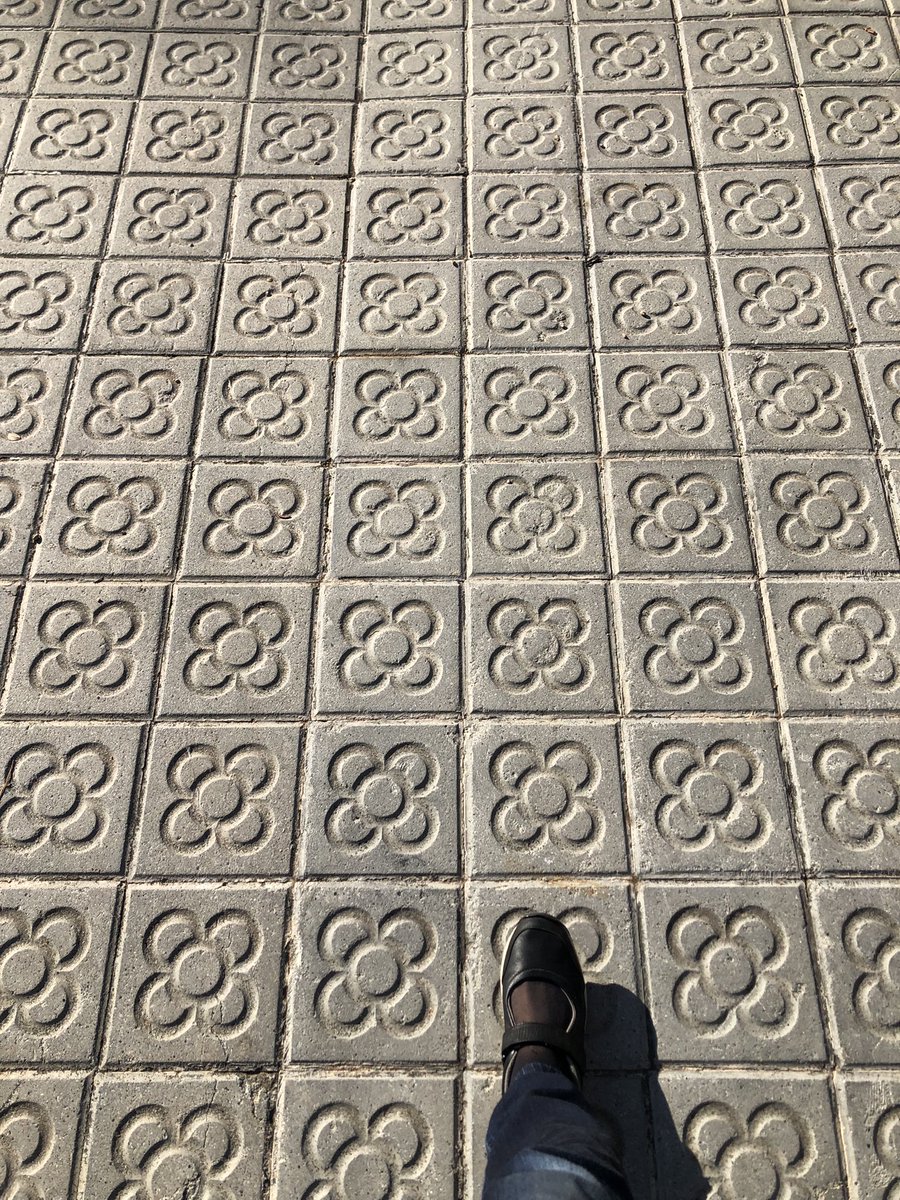 Magda BOU DAGHER tweet media