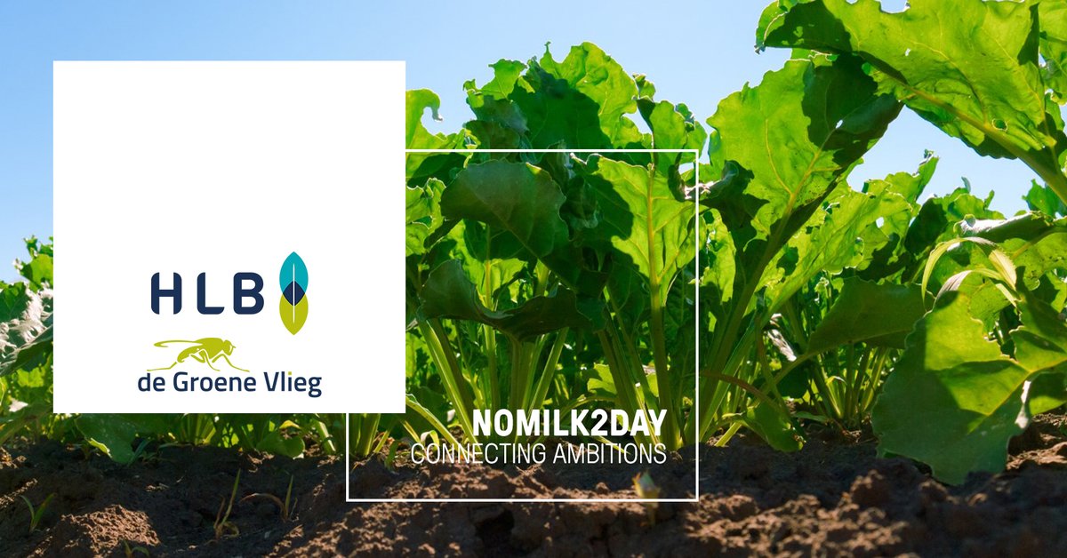 #vacature <a href="/HLBbv/">HLB</a>: Commercieel &amp; Technisch Manager Europa bij HLB / De Groene Vlieg in Dronten #agrarisch #sales #leidinggeven. Zie agriholland.nl/vacaturebank/v…
