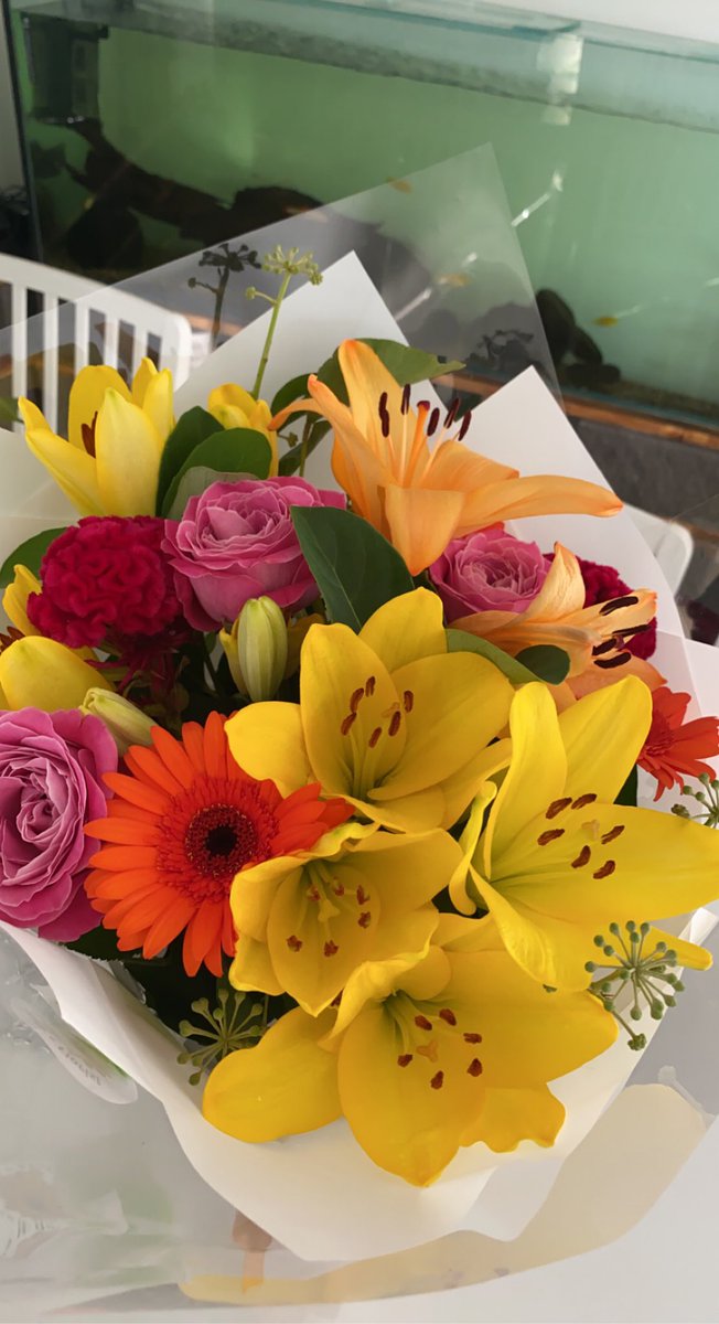 Annaliise tweet media