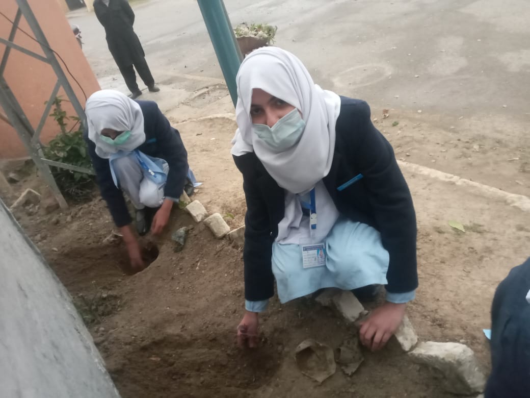 FEWDKPGovt's tweet image. #Springplantation event conducted in PAF Fizia College and Schools By Female CDO ,CDEGAD Directorate Ms.Fatima (FCDO) on 17th Feburary 2022  .  20 No. Of Plants planted by the students and  plants were  distributed among the students and teachers.
#PlantForPakistan
#KPForest