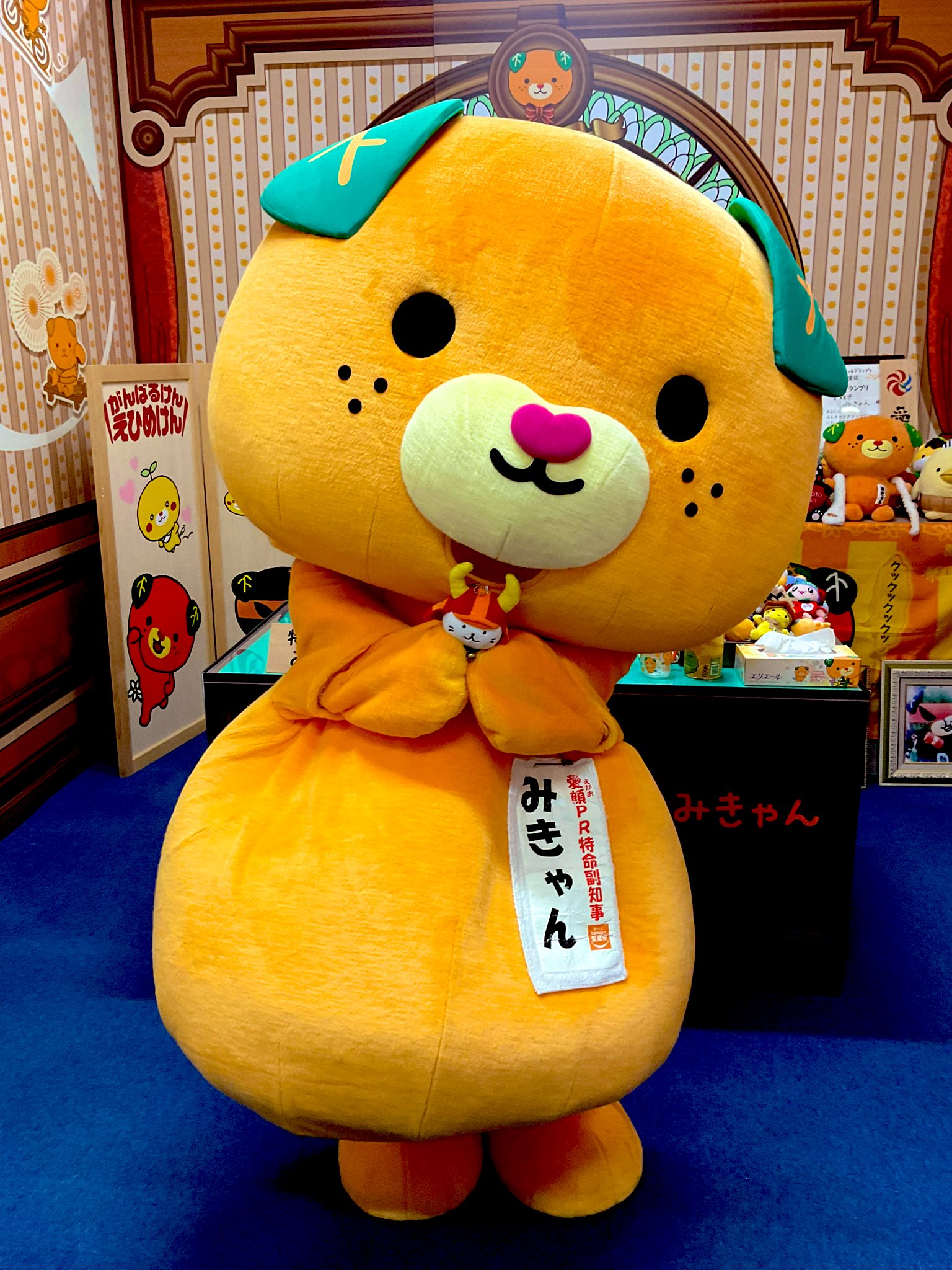 愛媛のゆるキャラ「みきゃん」のせつみ（20個セット）