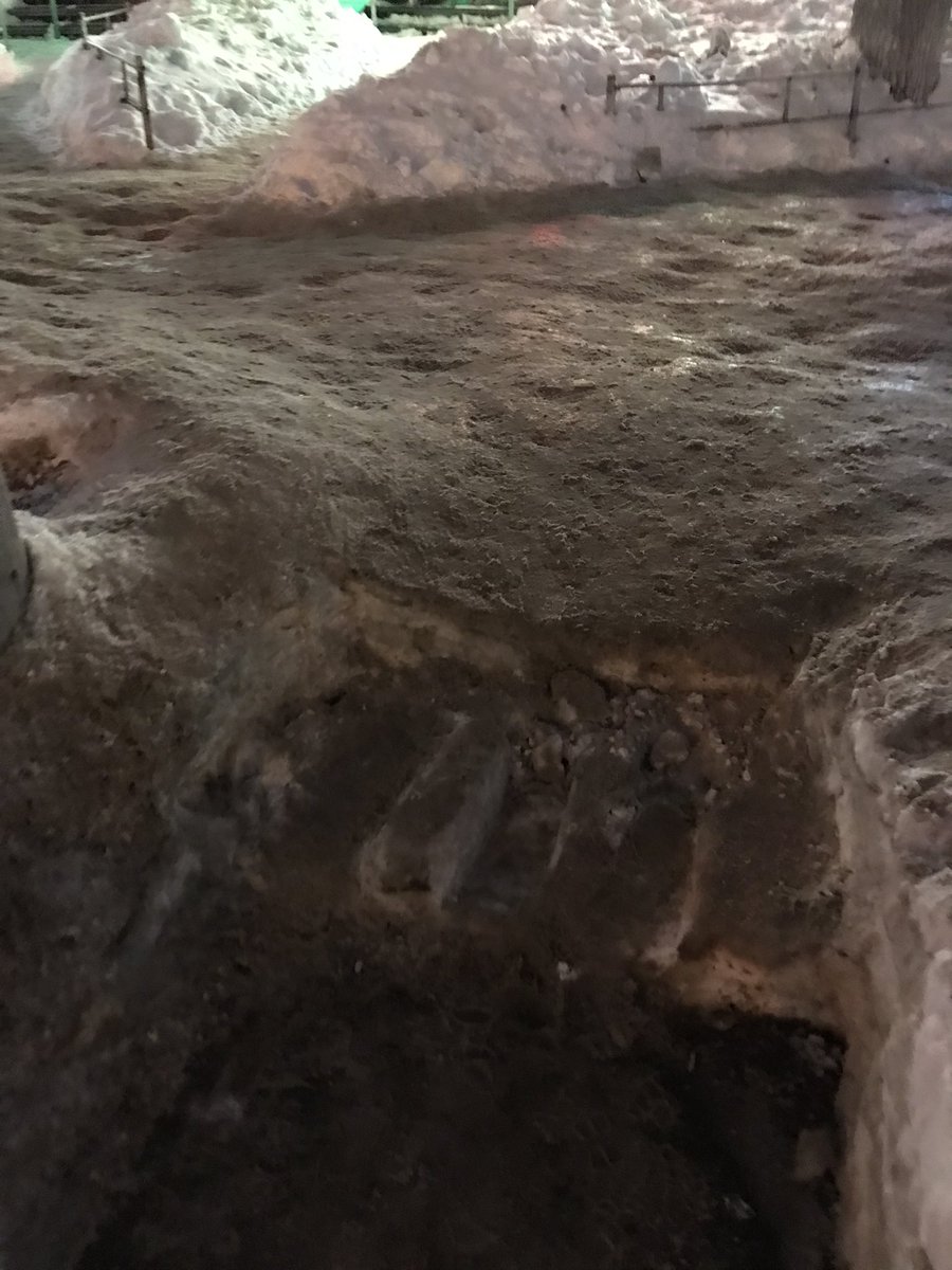 Наталья tweet media