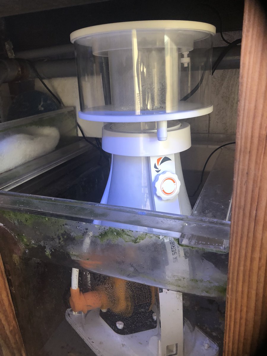 you_aqua's tweet photo. maxspectのスキマー導入😃
スキマーの威力も操作も良いけれど、
コントローラーの線が長い事も地味に嬉しいポイント😃

何事も、簡単、簡潔が良いですね☺️

#maxspect #sk800 https://t.co/HtGJ1h4pqF