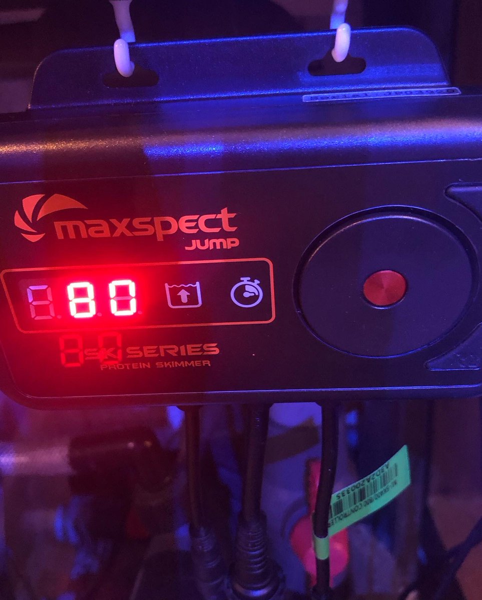 you_aqua's tweet photo. maxspectのスキマー導入😃
スキマーの威力も操作も良いけれど、
コントローラーの線が長い事も地味に嬉しいポイント😃

何事も、簡単、簡潔が良いですね☺️

#maxspect #sk800 https://t.co/HtGJ1h4pqF