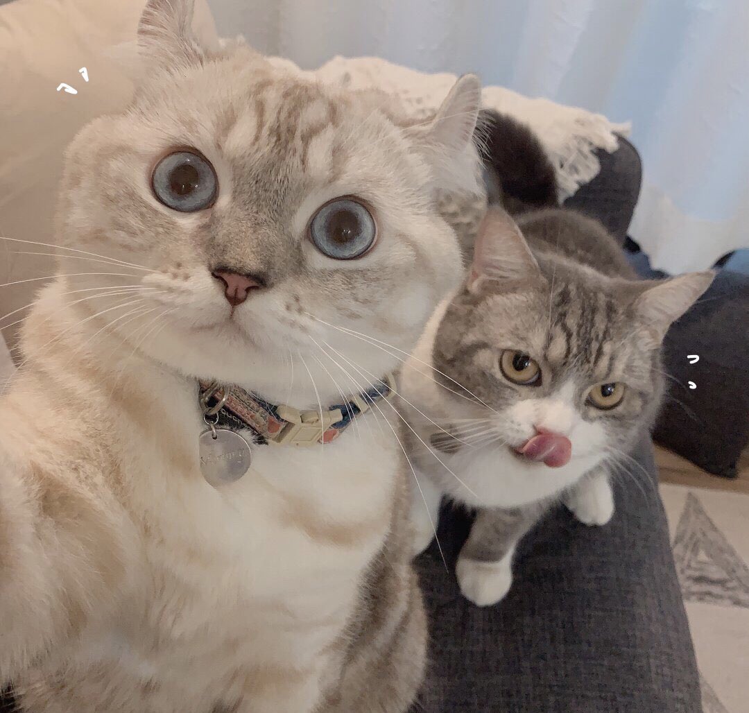 Oxed4701's tweet photo. Look at the camera and take a selfie.🤪🤪 https://t.co/30bk5UJoem