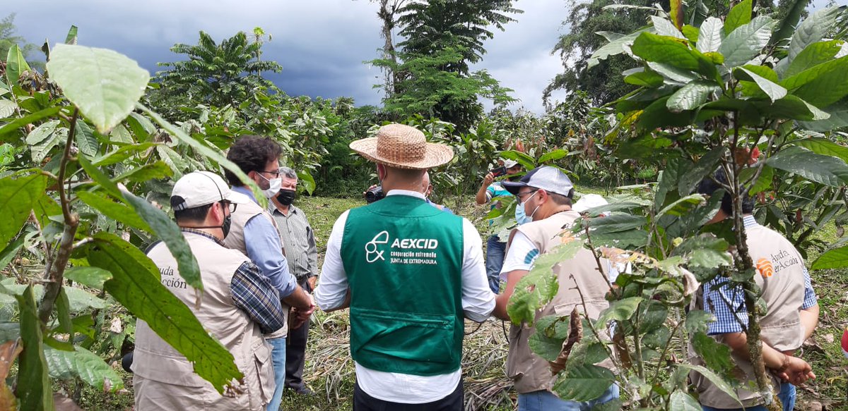 ayudaenaccion's tweet photo. Ayer @ja_calle, director de @AEXCID_, visitó el proyecto que hemos llevado a cabo con su financiación en la provincia de Cotopaxi (Ecuador) con @INFOFEPP.
Gran momento para mostrar cómo mujeres y jóvenes han participado en cadenas productivas liderando iniciativas sostenibles. https://t.co/k0hkLW4yRK