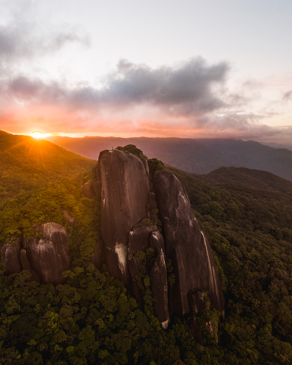 Cahn Butler tweet media