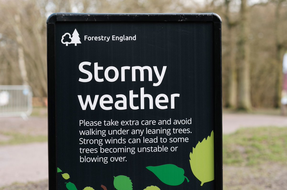 Please take extra care today &amp; wait until the winds die down before heading out into the #NewForest. If you see a tree that has been blown over on our land, you can report it to us by calling 0300 067 4600 &amp; we’ll make sure we get out to it when it’s safe to do so.