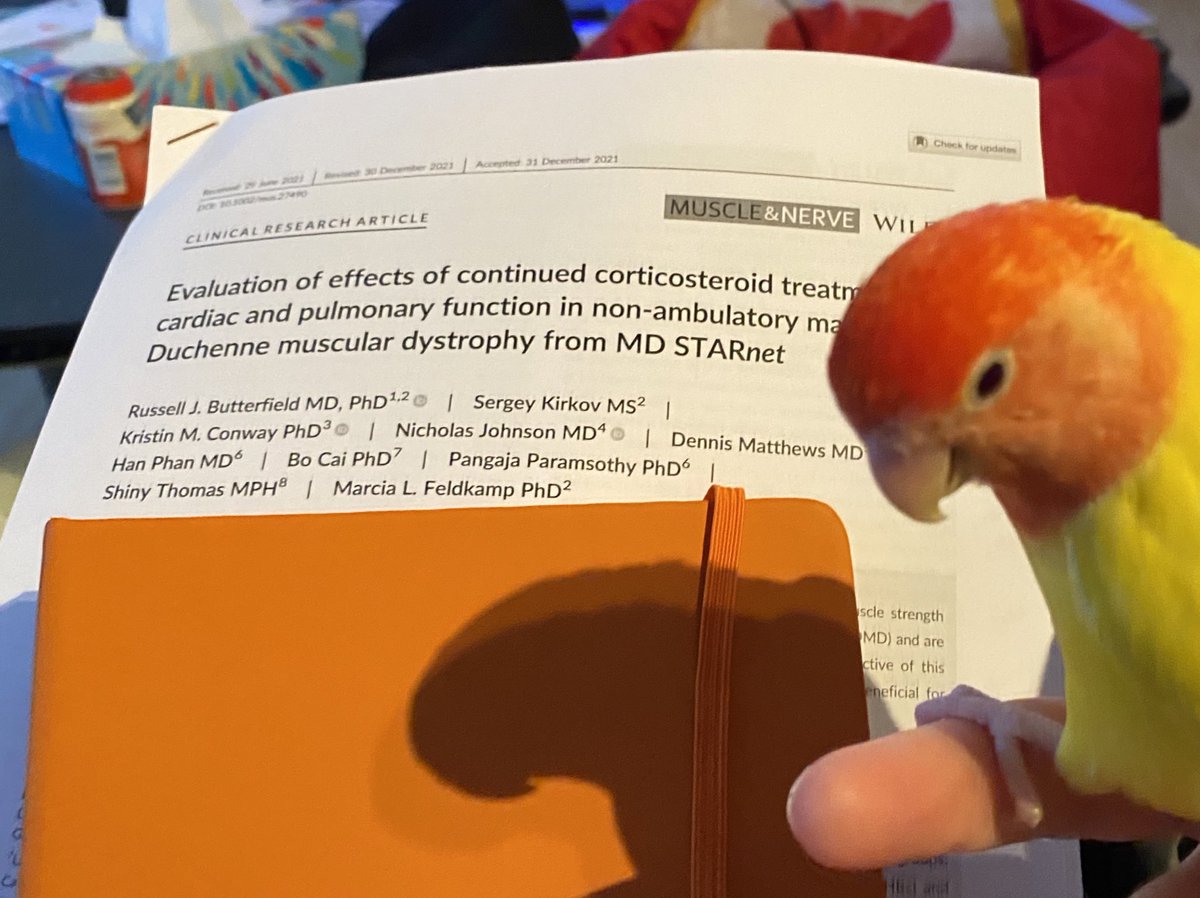 oligogirl's tweet photo. #apaperaday Duchenne themed due to #ppconf22 #parentproject @Parent_Project meeting. Got my note book ready so I can update the @TREAT_NMD Duchenne research overview. Today’s pick is on effects long term steroid use on heart and respiratory function doi 10.1002/mus27490 https://t.co/BrjThlo8iN