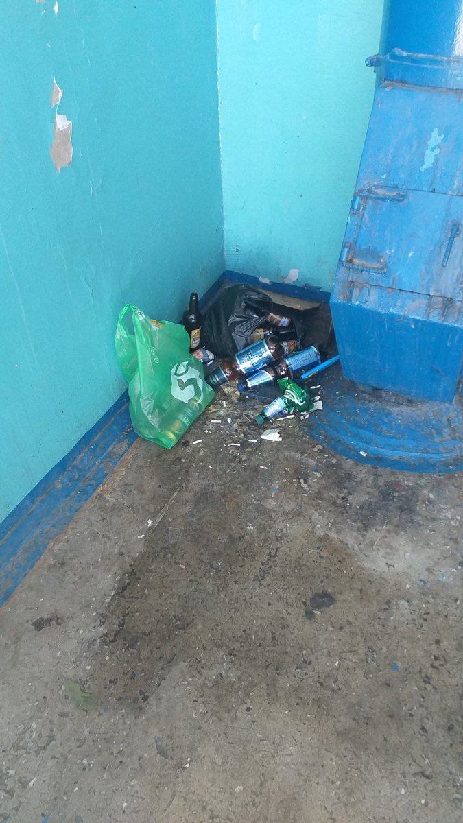 NaviGatoR° tweet media