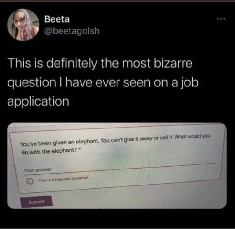 Shall we show her the <a href="/watfordcourse/">THE WATFORD COURSE</a> application.