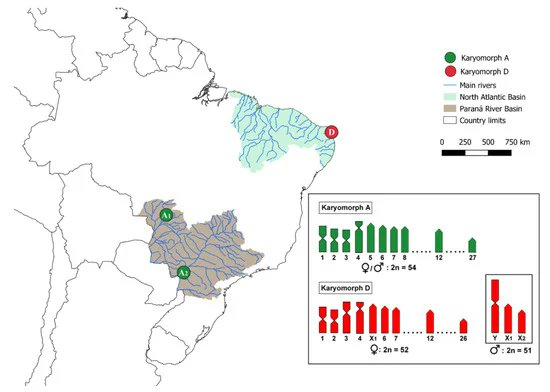 Biology MDPI tweet media