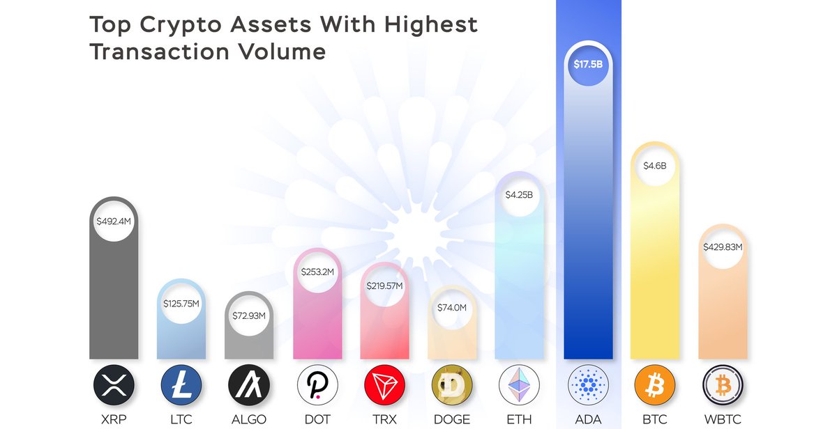 LucidCiC's tweet photo. In less than a year Cardano has gone from being a Ghostchain to the one that does the Most on Chain! https://t.co/jOQ6Ewjf1s