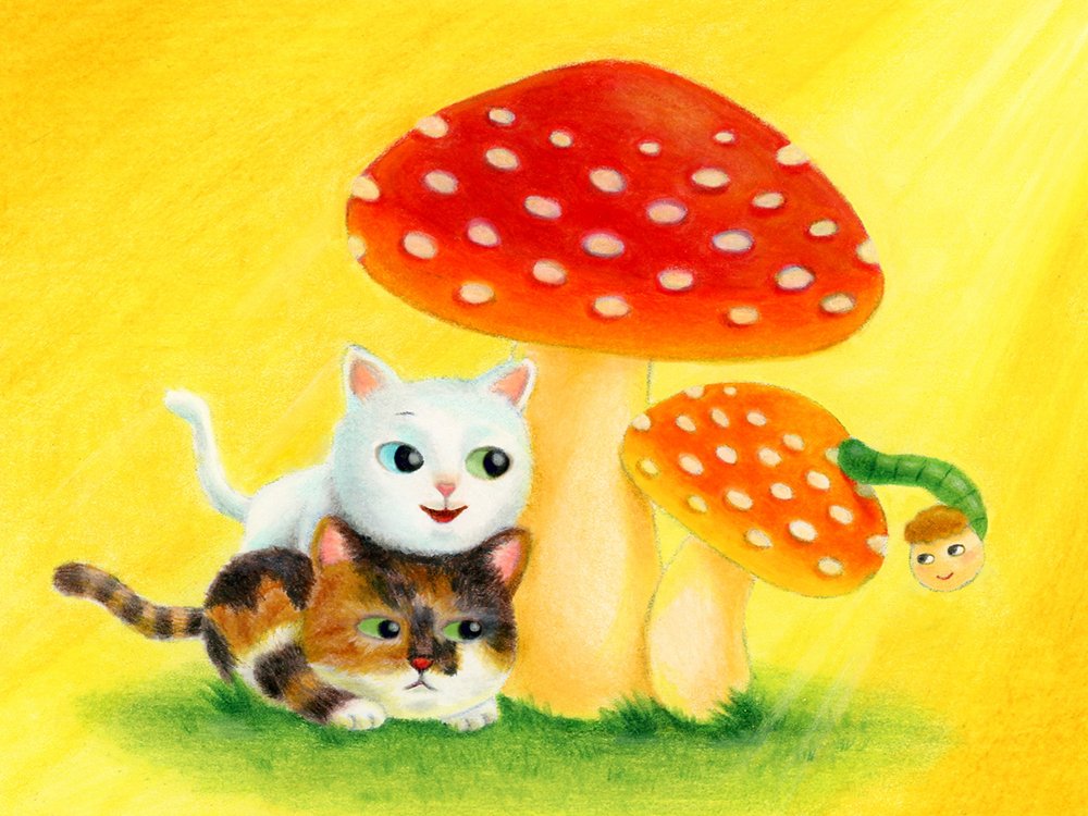 送料無料信頼の吉澤 ねこのミケ タマ きのこ おしゃれウィメンズドルマンtシャツ フロストピンク アウトレット特価 ファッション ｔシャツ Emerlinginternational Com