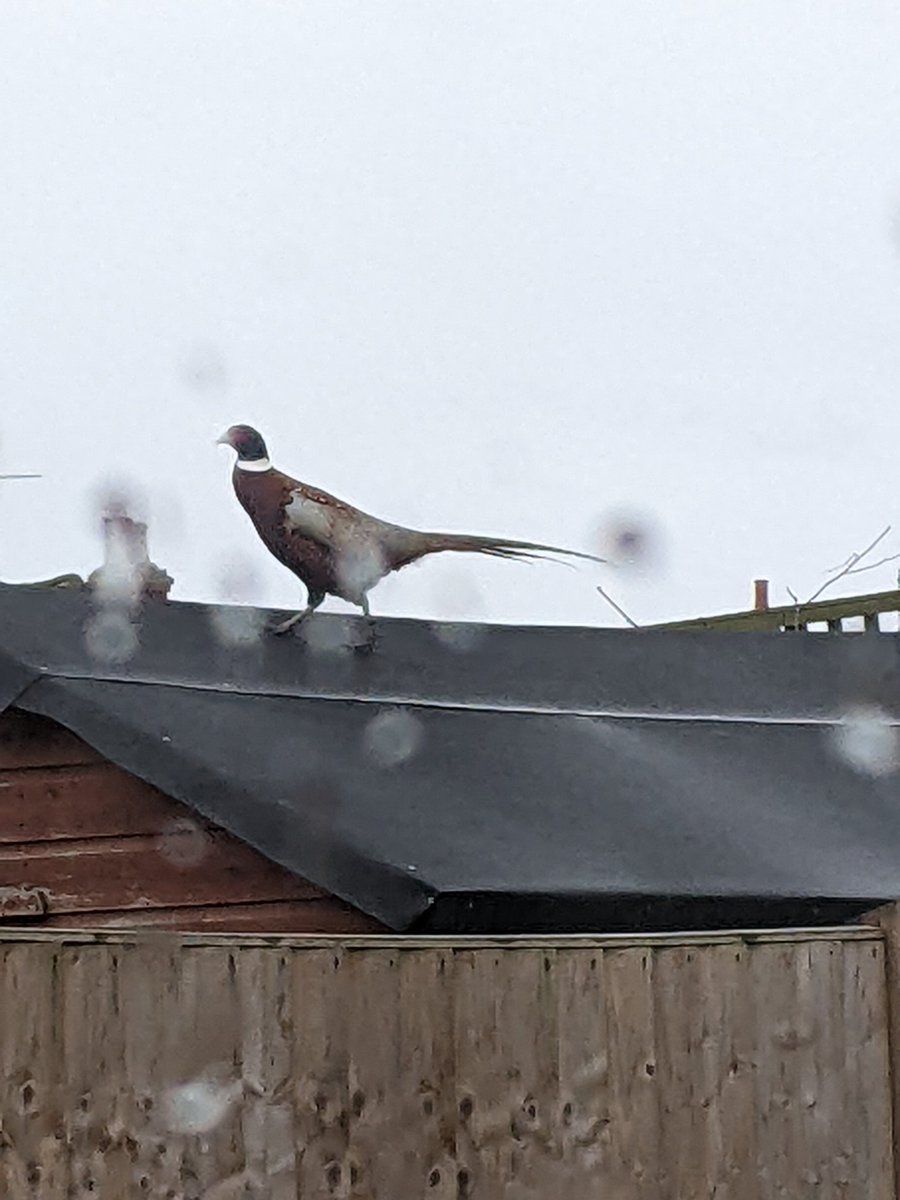 Kim Baker tweet media