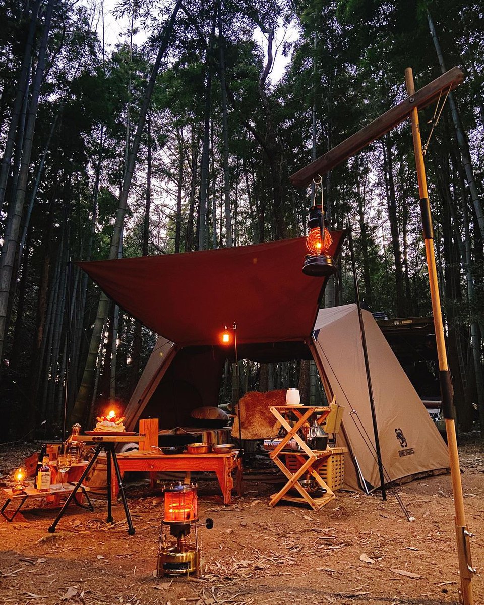 OneTigris tweet media