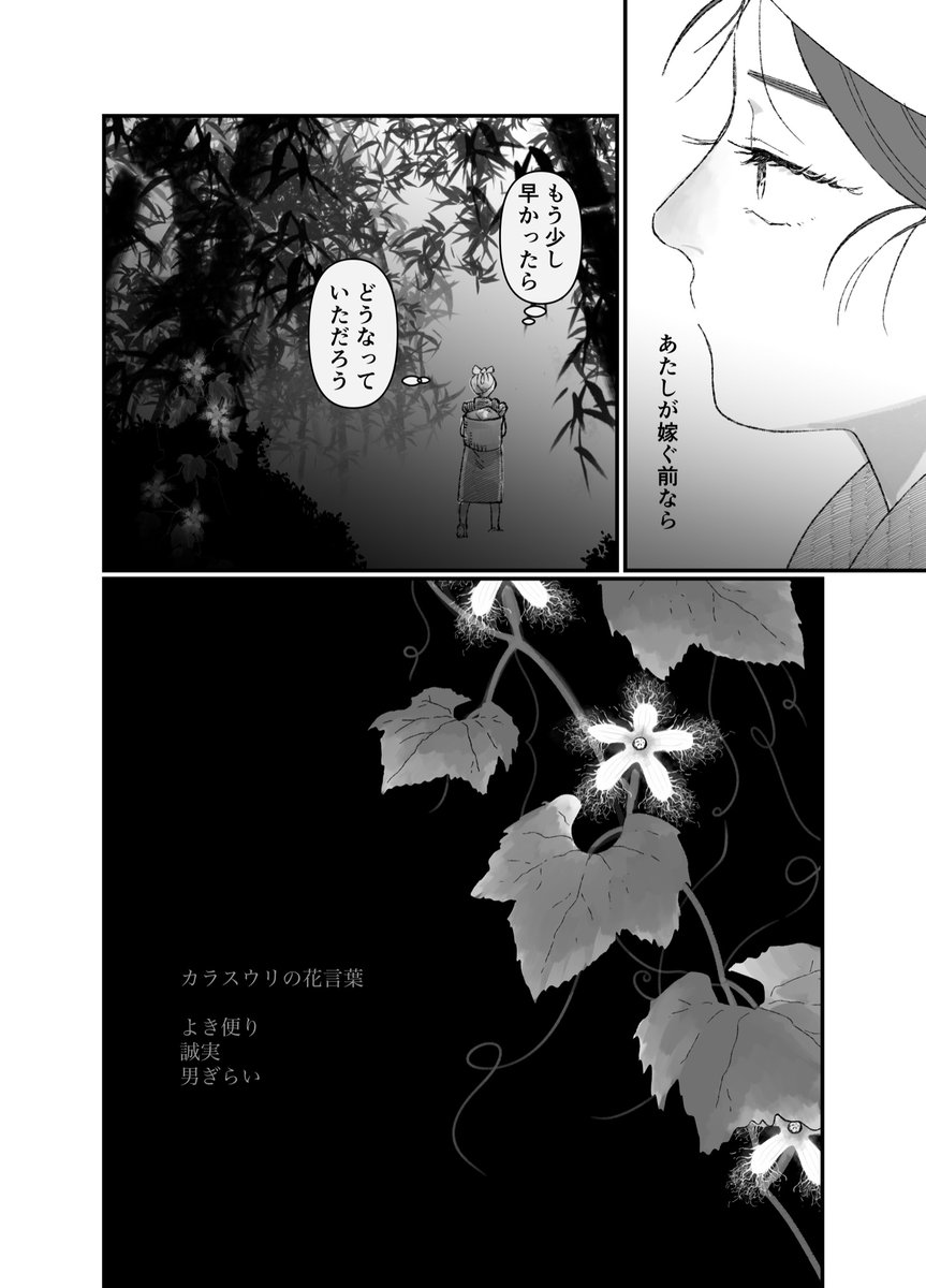 烏瓜2  #創作百合 