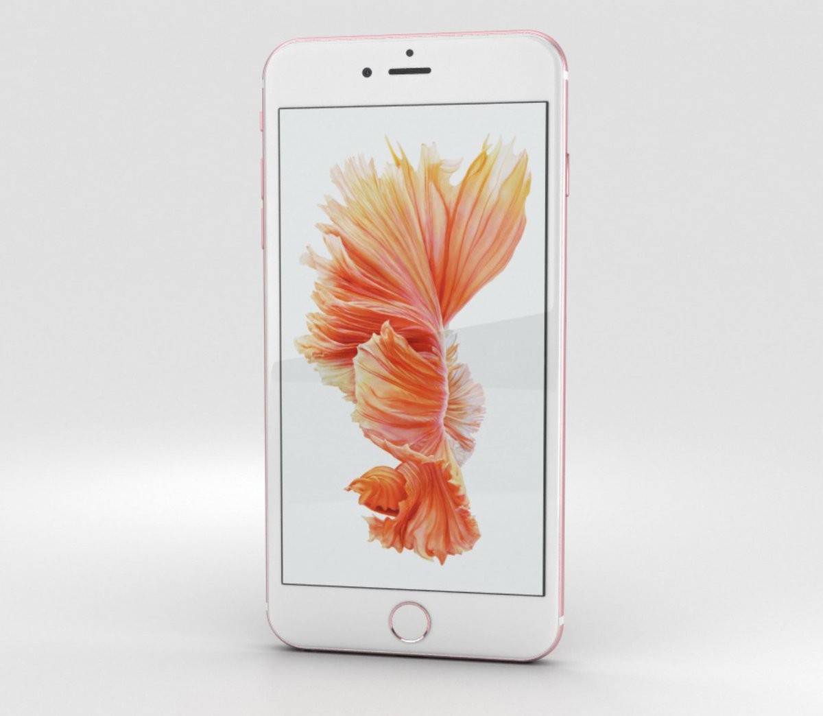 Apple Crypto Museum tweet media