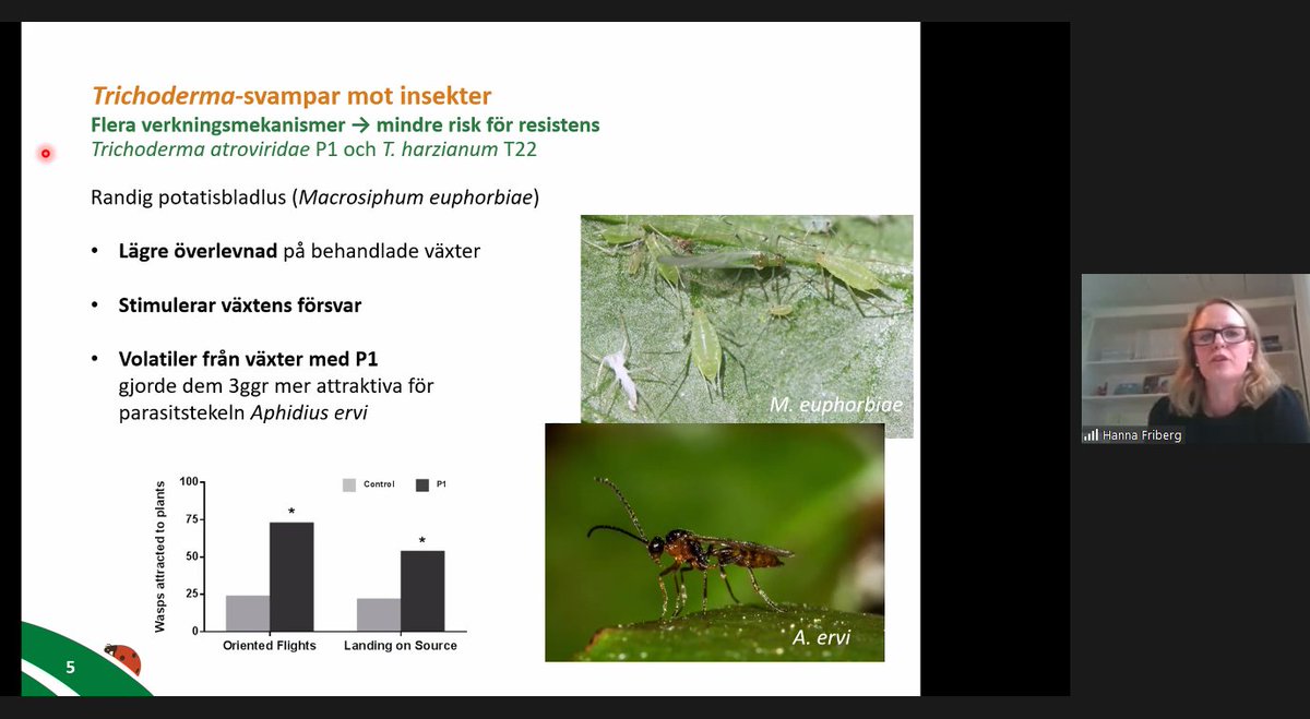 Great online meeting on crop protection in Sweden organised by @_slu and <a href="/EcoStackH2020/">EcoStack</a>. Many thanks to all presenters for sharing your knowledge on possibilities and challenges in the development of future crop protection strategies. <a href="/HannaSlu/">Hanna Friberg</a>