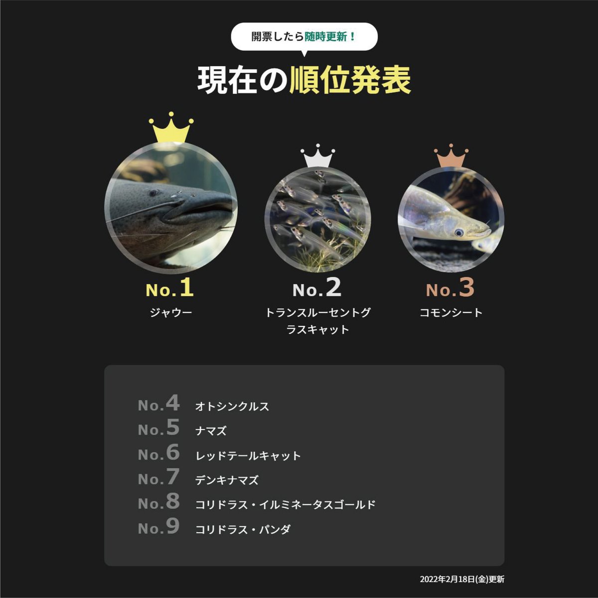 あなたの投票で決まります カワスイ ナマズ総選挙22 現在の順位 第1位 ジャウー 第2位 トランスルーセントグラスキャット 第3位 コモンシート オンライン投票はこちら 投票者限定で カワスイ 入館チケットが当たるキャンペーン開催中 川崎区