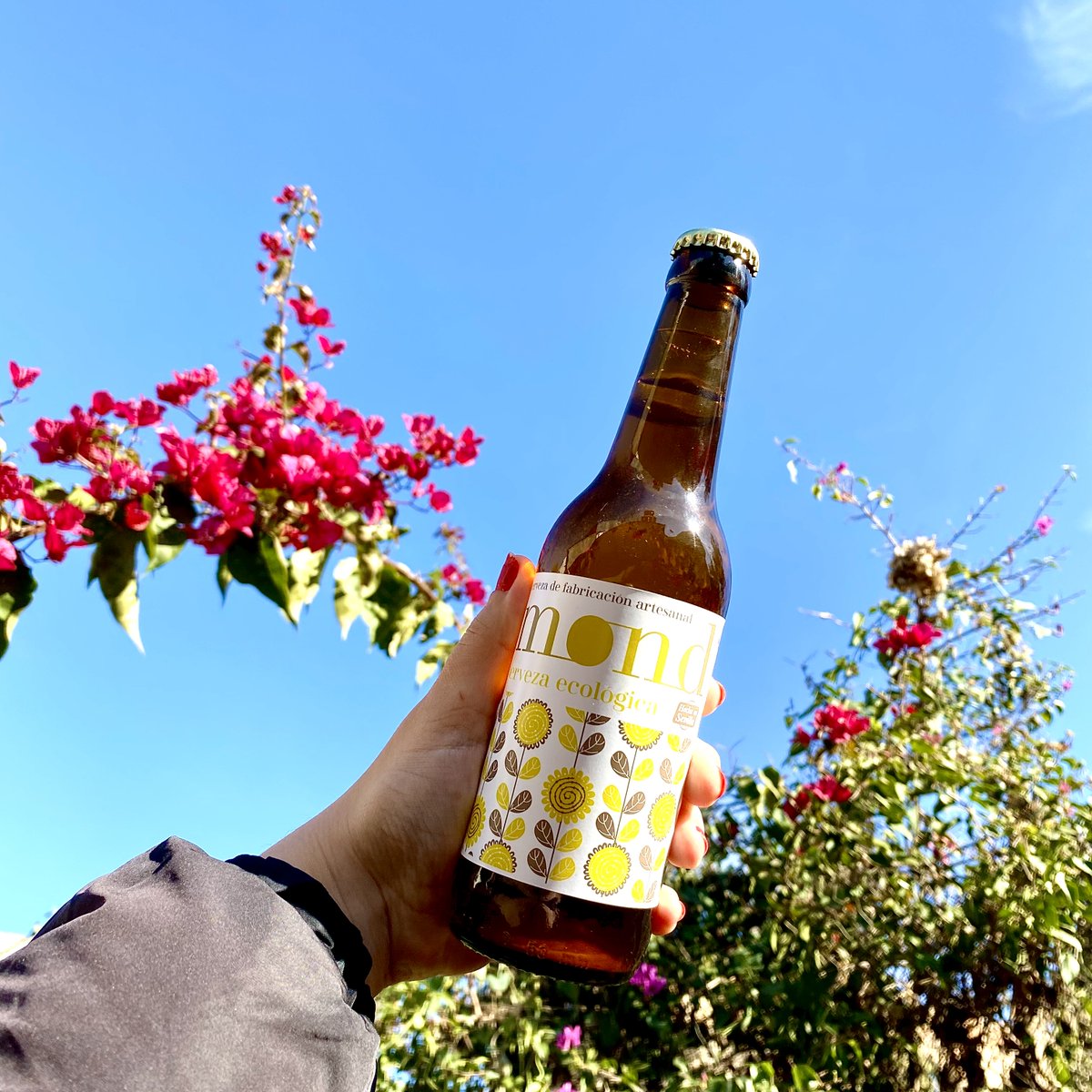 bioalverde's tweet photo. ¿Cerveza ecológica?🤔 No hay que irse muy lejos,La propuesta sevillana de @mondcerveza no te defraudará: color brillante, crema blanca y cremosa, dulzor suave inicial…Viernes, imposible resistirse a esto🍻😋 En terraza o a domicilio, disfruta del sabor ecológico y sostenible https://t.co/9H9Boyl8dK