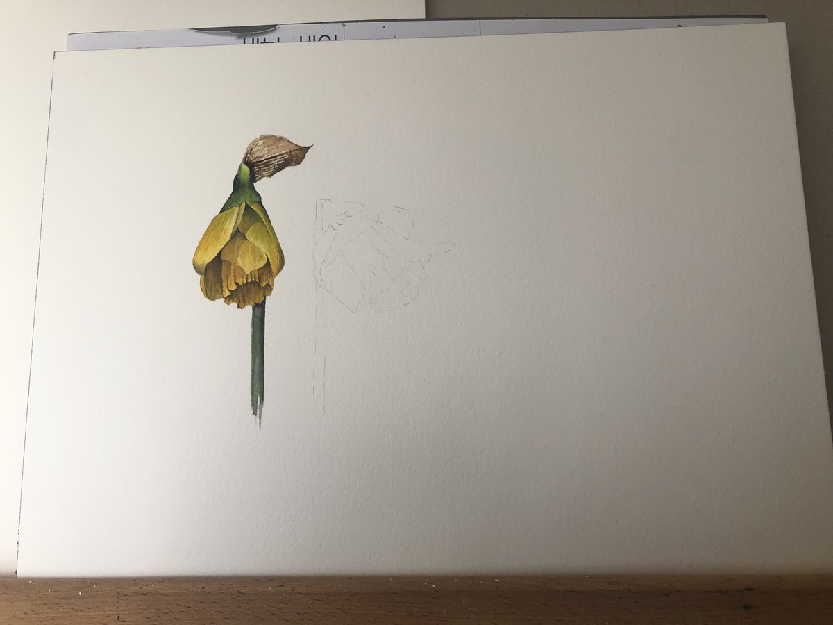 a-watercolour-a-day tweet media