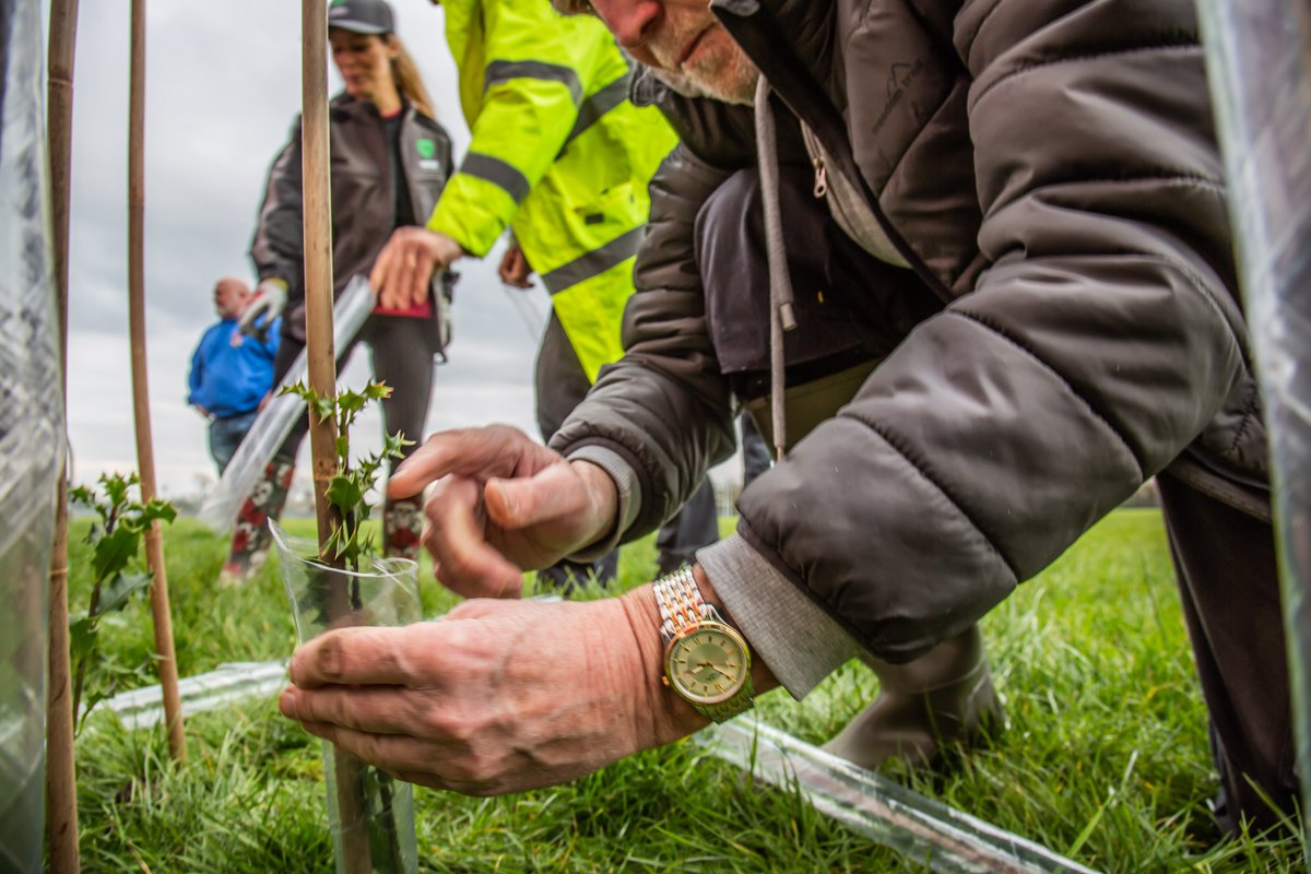 Very exciting - as part of the #QueensGreenCanopy, Her Majesty the Queen's Representative @ERLieutenancy Jim Dick OBE will be in attendance at our tree planting in Hull on 22nd. Come and join us with your wellies on! onehullofaforest.uk/lozenge/