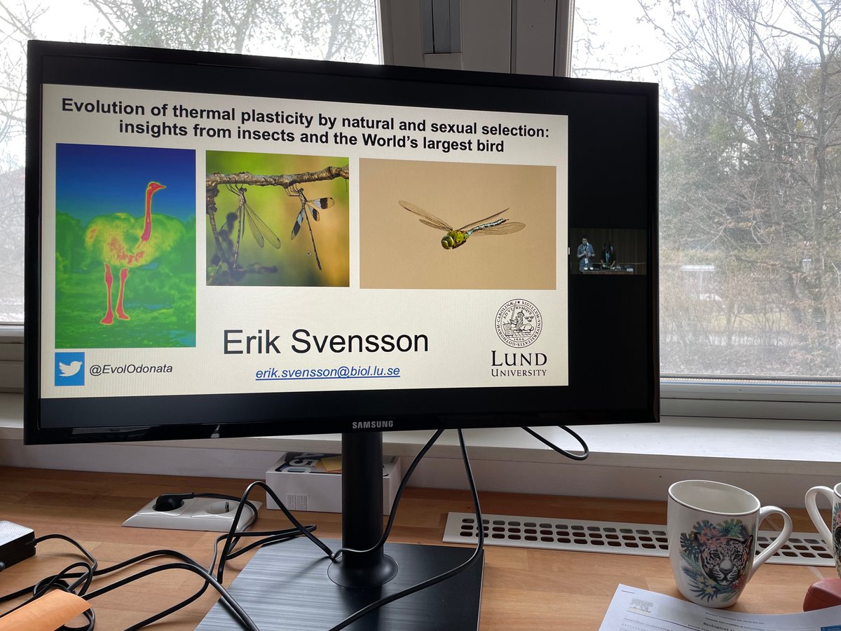 Bibiana Rojas (@biobiiana) on Twitter photo Thermal plasticity, ostriches and dragonflies —great start to this Friday with <a href="/EvolOdonata/">Erik Svensson</a>’s plenary at #Biology2022Basel <a href="/Biology22Basel/">Biology22 Basel</a> Thermal plasticity, ostriches and dragonflies —great start to this Friday with <a href="/EvolOdonata/">Erik Svensson</a>’s plenary at #Biology2022Basel <a href="/Biology22Basel/">Biology22 Basel</a>