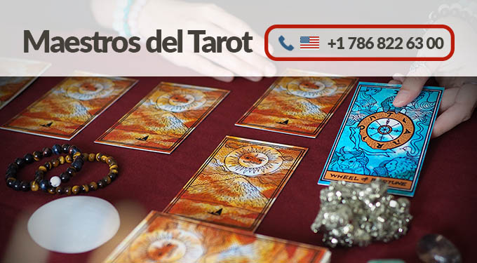 tarot24h's tweet photo. Maestros del tarot para saber tu futuro (Estados Unidos) https://t.co/1DqRwIBU9I #tarot #videncia #videntes #tarotistas #estadosunidos #miami #florida #medium #brujos #arcanos https://t.co/wYTy1biCCD