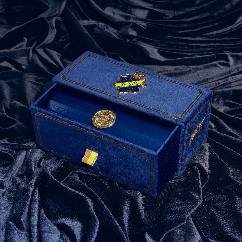 AIKfotboll's tweet photo. Stockholmskartan över bröstet guidar oss rätt. Kronan i nacken visar att vi bär huvudet högt. En djupblå färg, precis som i vårt crest. AIK Royal Edition har kärlek i detaljerna.

Släpps 25.02.22 kl 10. 

#aikroyaledition
