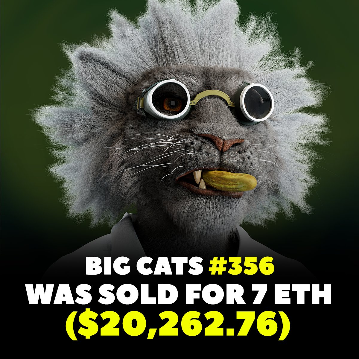 Another big sale of the week 🔥

RT if you are ready for the Little Cats!