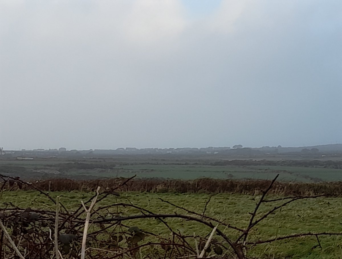 gnome_alice's tweet photo. Salt smoke.
#Boscean towards #Kenython
#Pednandrea towards #Trewellard
#StormEunice
#Lannust
#Kernow
#StJust https://t.co/rAfdA0Ubo2