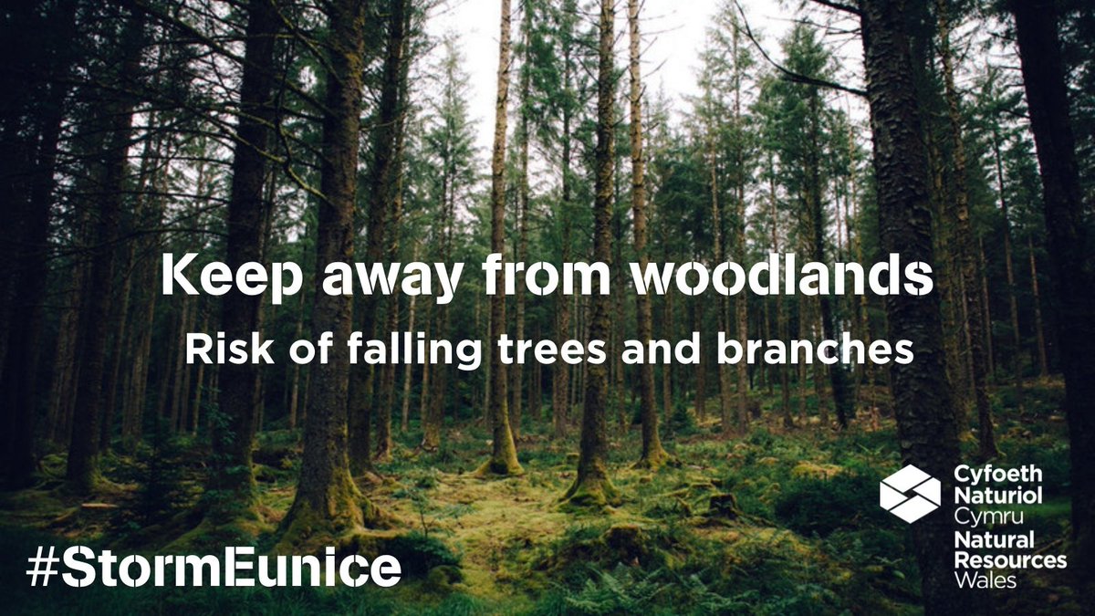 Cyfoeth Naturiol Cymru | Natural Resources Wales tweet media