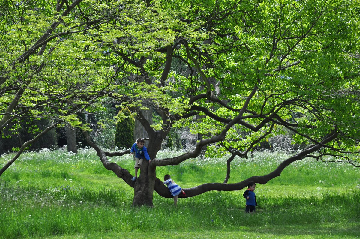 #Klimaat | Hoe ziet een functioneel ecosysteem in de stad eruit? 🍃💧🏡Met het TKI Project Eco-Systeem-Stad willen we tot klimaatrobuuste, watersensitieve vergroeningsstrategieën komen in het stedelijk gebied. Nieuwsgierig? Kijk op 👉ecosysteemstad.nl