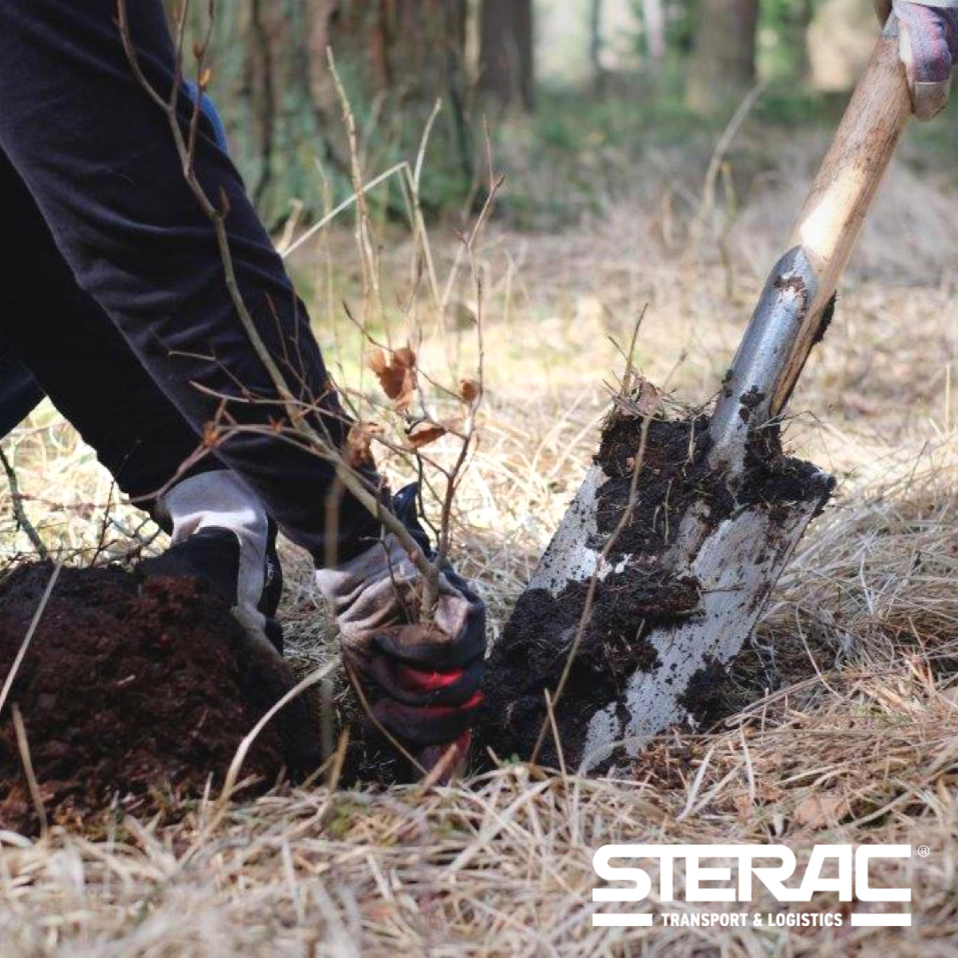 📸STERAC - Bild der Woche
Unser im Dezember gestartetes Projekt “Logistik Wald Mittelstand” nimmt ordentlich Fahrt auf. Mit diesem Projekt unterstützen wir die Erschaffung neuer Waldflächen, die Pflege vorhandener Waldflächen oder die Förderung zur Bildung rund um das Thema Wald.