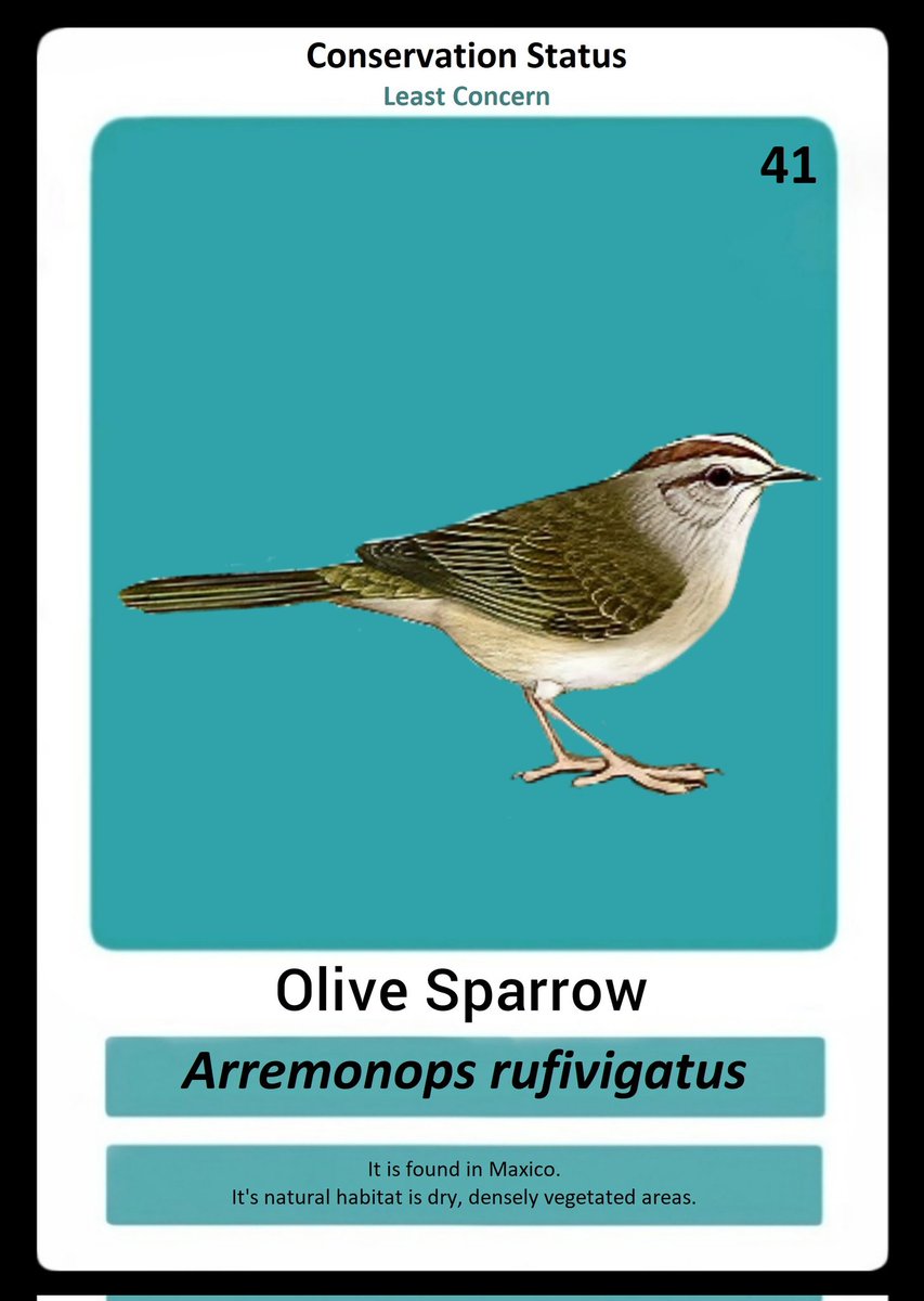 Ayomeeday12's tweet photo. Buy NFT for 1 Algo and get a chance to enter the Game:
Olive Sparrow - https://t.co/EOJksbUbdB

@Kaafila2020 @KaafilaNFT_ https://t.co/lk3EtSS18L