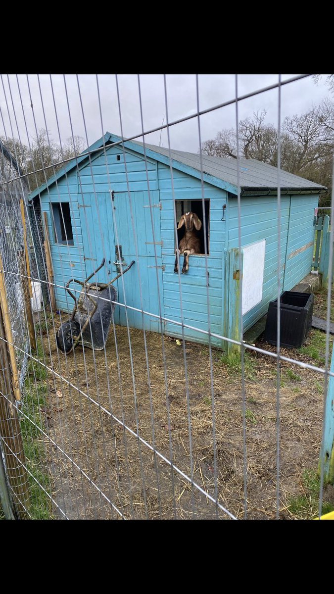 Northiam CE Primary tweet media