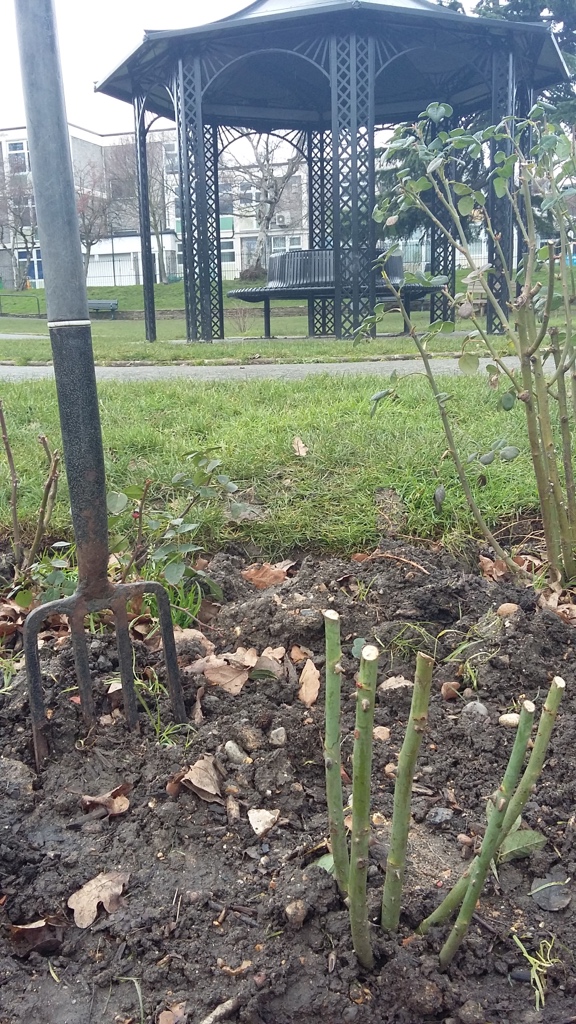 Stoneydown Park is closed today, as a safety measure against the incoming Storm Eunice. Be careful out there!

#e17 #walthamstow #stoneydownpark #stormeunice