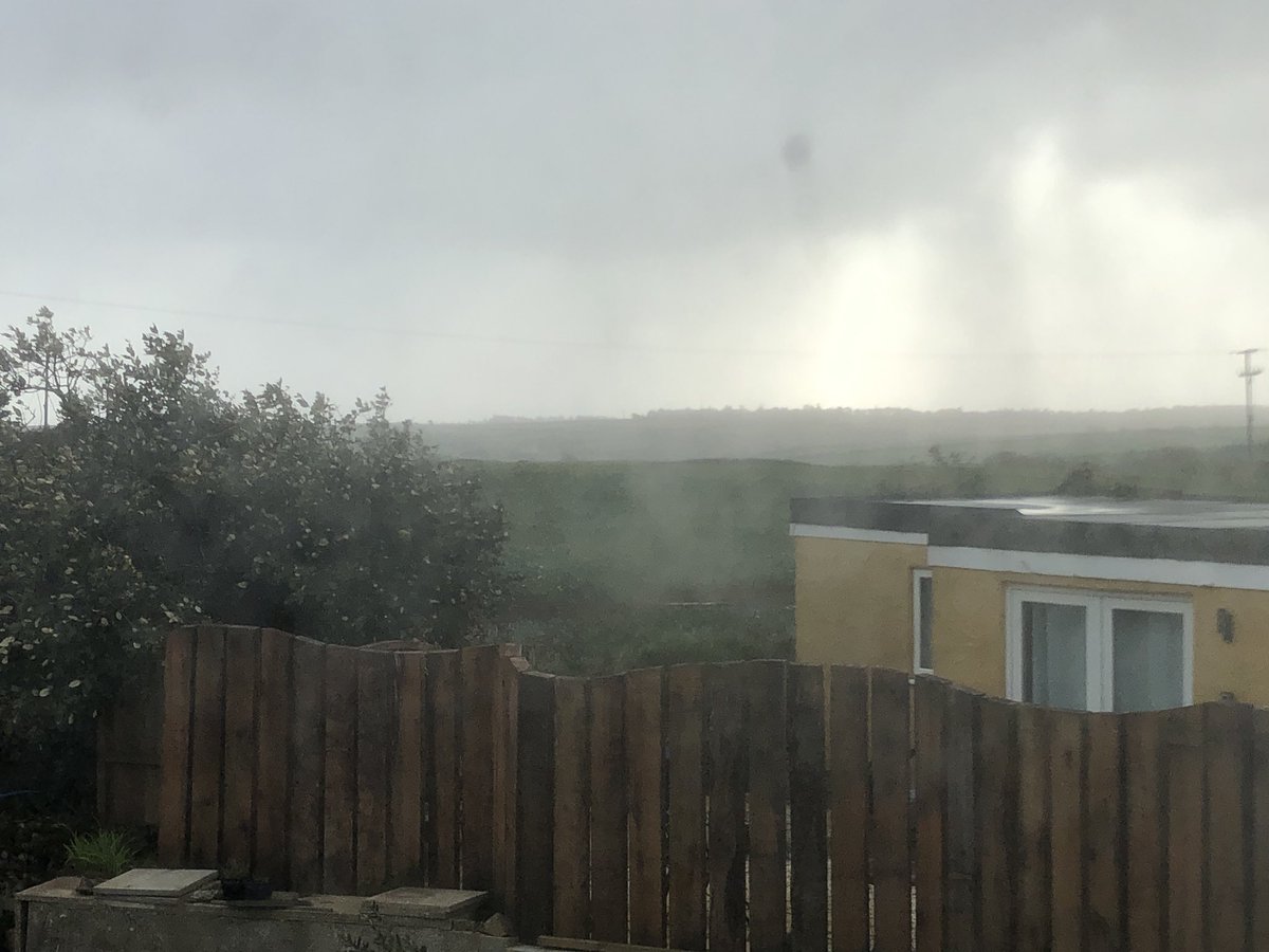 Viki Carpenter tweet media