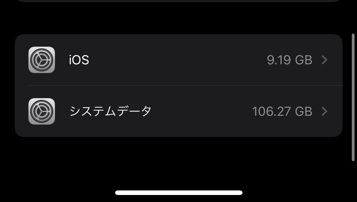 みかっぴ Iphone何かがおかしいと思ったらシステムデータがストレージ内独占してるんだけどどうすんの T Co V43emzyjza Twitter