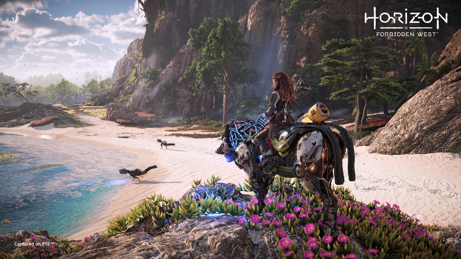 Guerrilla on X: Horizon Forbidden West Complete Edition came out a week  ago! Join the adventurers heading into the Forbidden West with Aloy – brave  a deadly area with new threats and