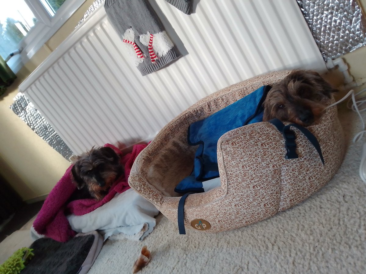 jennyfuramy's tweet photo. Ridin out #StormEunice in da Caravan 👊💪🌞 it's mighty gusty but da sun is shinin 🙏 #Devon #StaysSafe #StayHome https://t.co/x4NnGE0M1T
