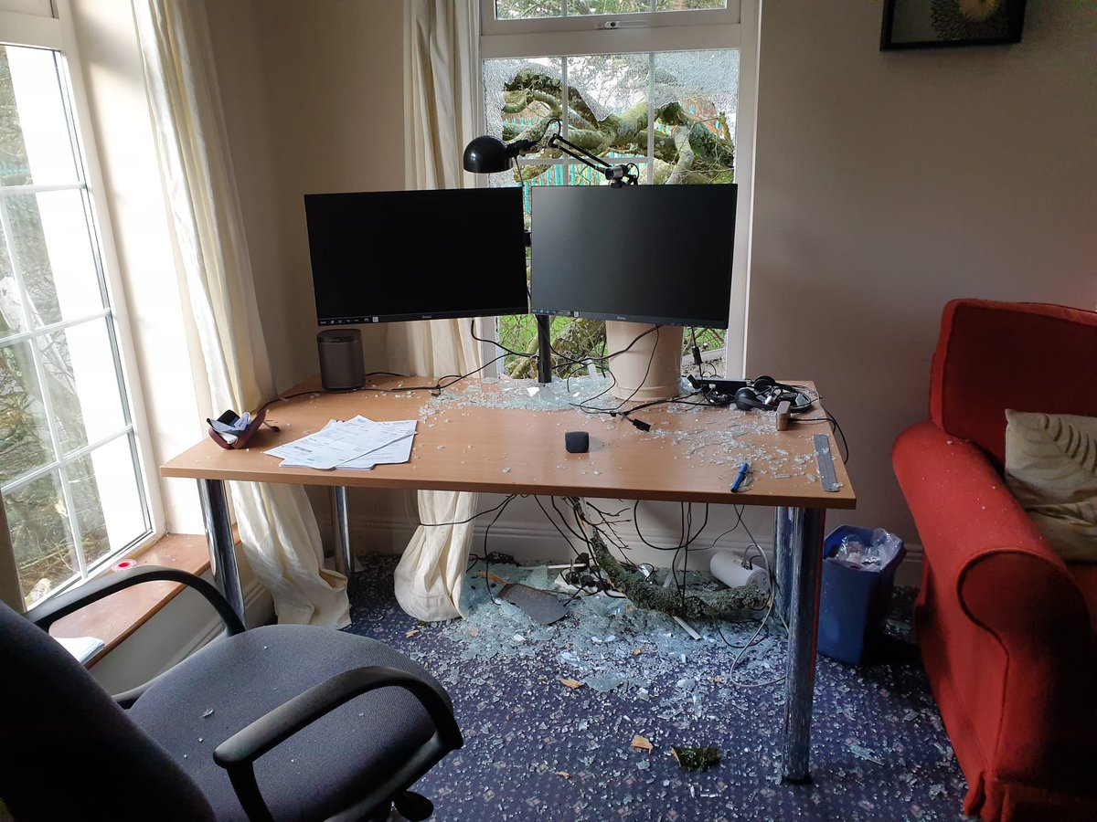 ellenoregan's tweet photo. Tree came down on our family house in Cobh this morning. Very lucky to say nobody was hurt, and only a few busted windows and a stray branch through the roof to show for it. Stay safe everyone #StormEunice https://t.co/ipMue2eNFF